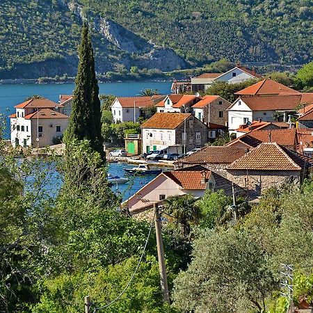 Apartments Dinko Zifra Tivat Exterior photo
